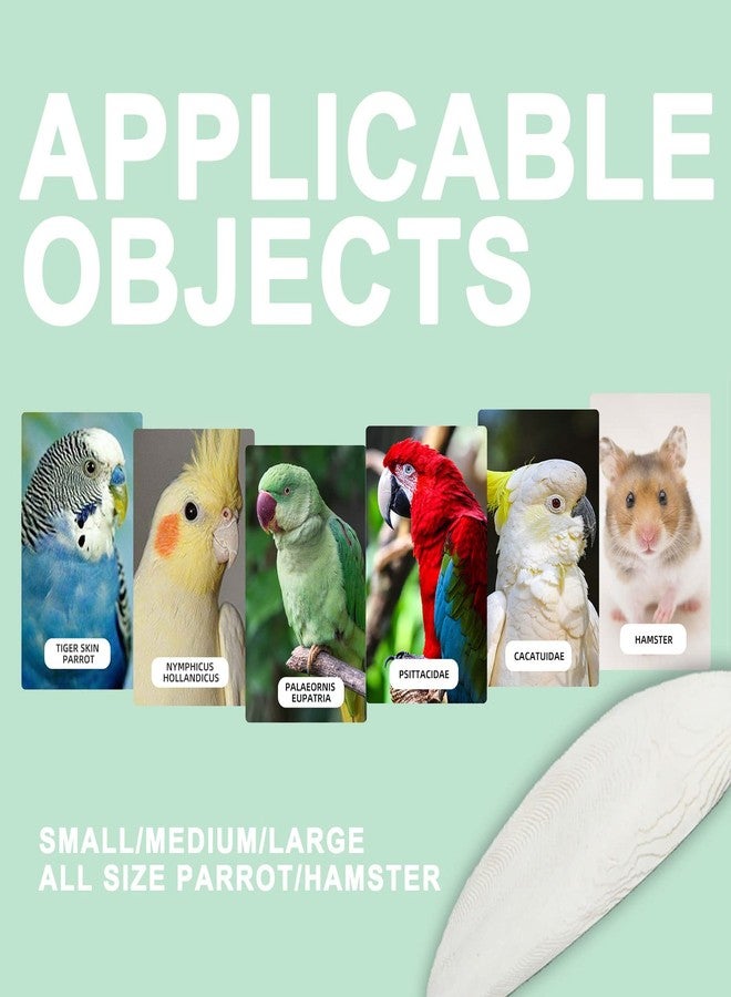 Mivofun Cuttlebone for Birds Parakeets Canaries Cockatiels Small Conures Mynahs Toucans African Greys All Parrots Snails Totoise,Natural Cuttlefish Bone for Bird Cage (7"-7.5"(Pack of 6)) - Image 5